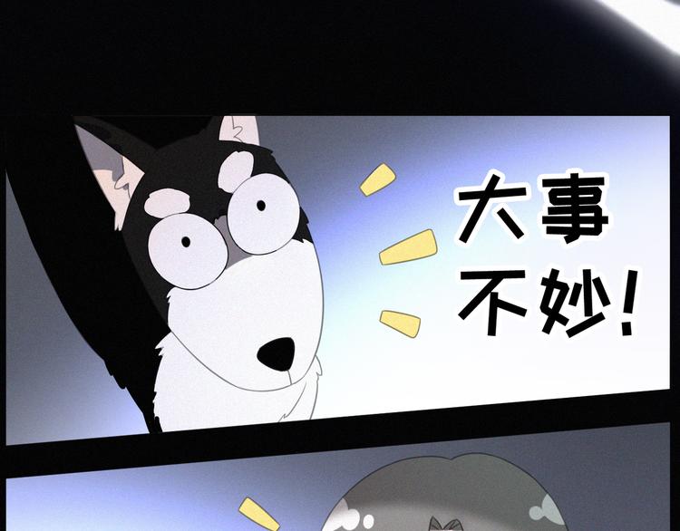 社会喵韩漫全集-第37话 学霸变身无删减无遮挡章节图片 