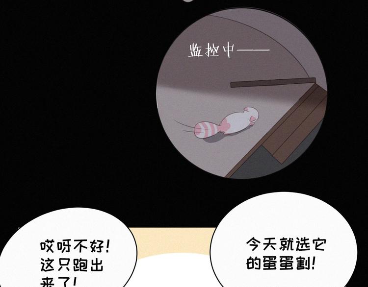 社会喵韩漫全集-第38话 黄雀在后无删减无遮挡章节图片 