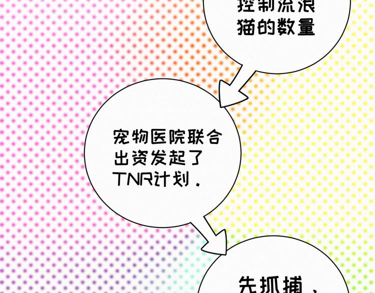 社会喵韩漫全集-第38话 黄雀在后无删减无遮挡章节图片 