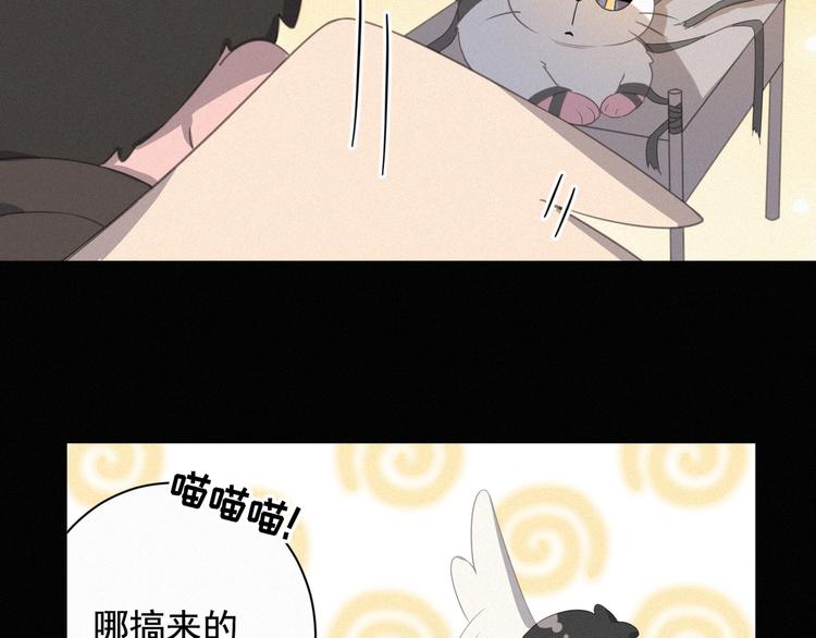 社会喵韩漫全集-第38话 黄雀在后无删减无遮挡章节图片 