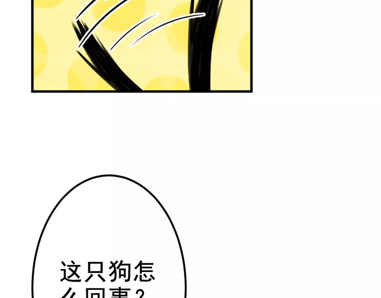 社会喵韩漫全集-第5话 好喵不跟狗斗！无删减无遮挡章节图片 