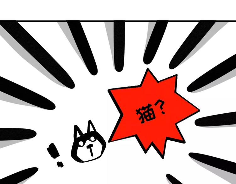 社会喵韩漫全集-第5话 好喵不跟狗斗！无删减无遮挡章节图片 