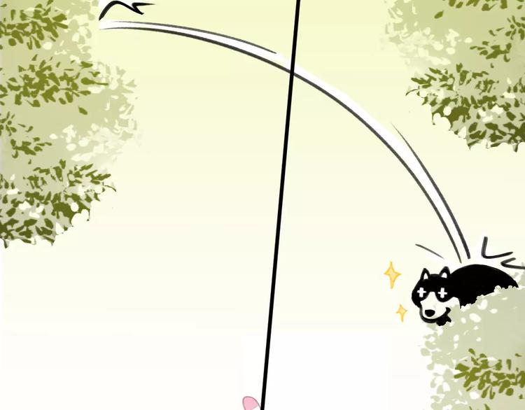 社会喵韩漫全集-第5话 好喵不跟狗斗！无删减无遮挡章节图片 
