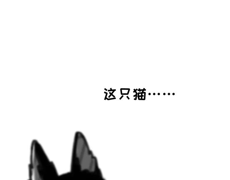 社会喵韩漫全集-第5话 好喵不跟狗斗！无删减无遮挡章节图片 