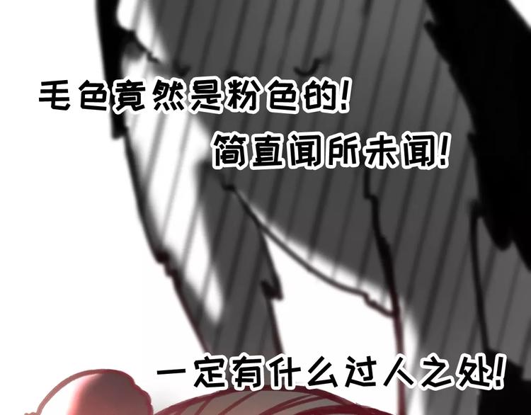社会喵韩漫全集-第5话 好喵不跟狗斗！无删减无遮挡章节图片 