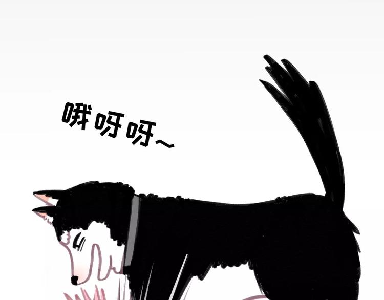 社会喵韩漫全集-第5话 好喵不跟狗斗！无删减无遮挡章节图片 
