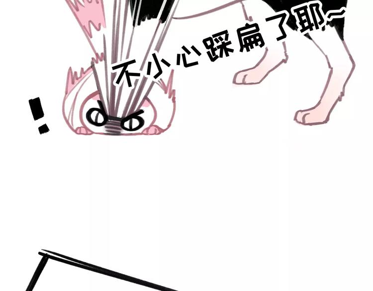 社会喵韩漫全集-第5话 好喵不跟狗斗！无删减无遮挡章节图片 