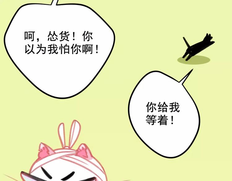 社会喵韩漫全集-第5话 好喵不跟狗斗！无删减无遮挡章节图片 