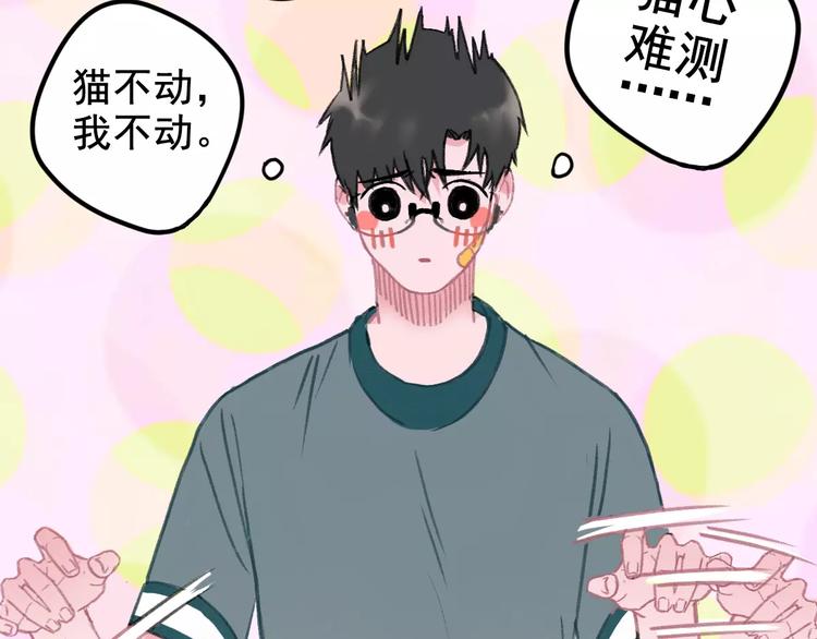 社会喵韩漫全集-第5话 好喵不跟狗斗！无删减无遮挡章节图片 