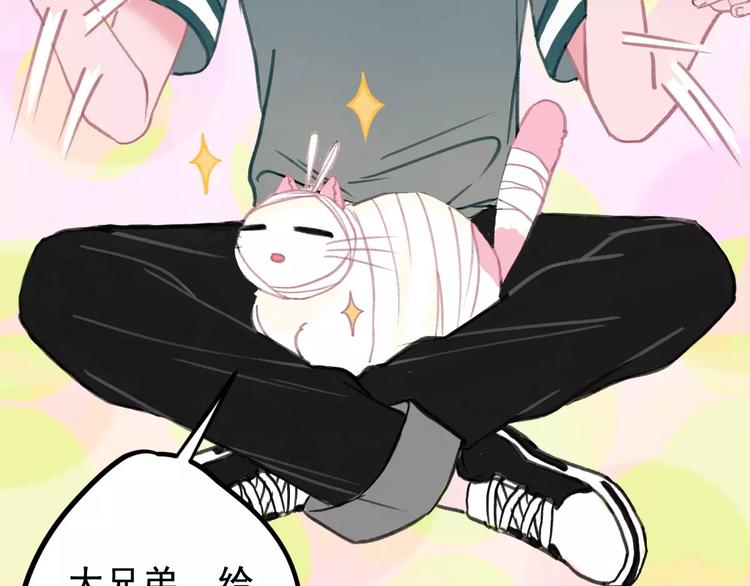 社会喵韩漫全集-第5话 好喵不跟狗斗！无删减无遮挡章节图片 