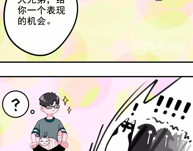 社会喵韩漫全集-第5话 好喵不跟狗斗！无删减无遮挡章节图片 