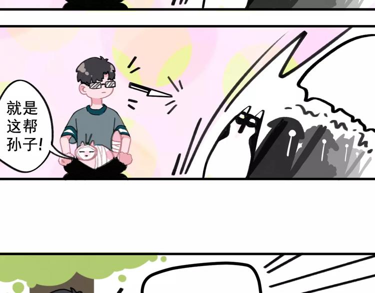 社会喵韩漫全集-第5话 好喵不跟狗斗！无删减无遮挡章节图片 