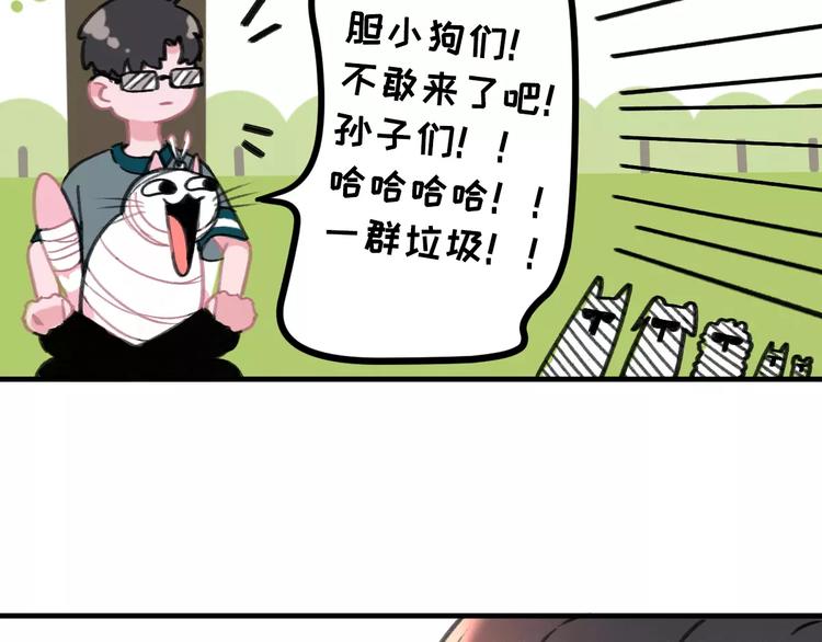 社会喵韩漫全集-第5话 好喵不跟狗斗！无删减无遮挡章节图片 