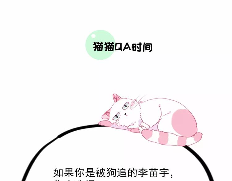 社会喵韩漫全集-第5话 好喵不跟狗斗！无删减无遮挡章节图片 