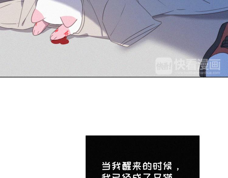 社会喵韩漫全集-番外 混混的“悲剧”无删减无遮挡章节图片 