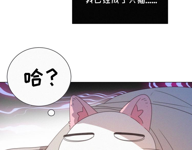 社会喵韩漫全集-番外 混混的“悲剧”无删减无遮挡章节图片 