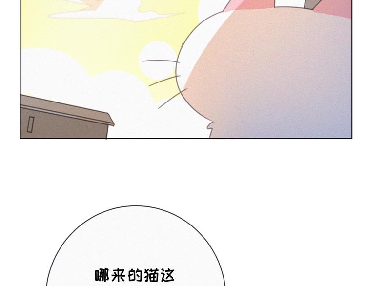 社会喵韩漫全集-番外 混混的“悲剧”无删减无遮挡章节图片 
