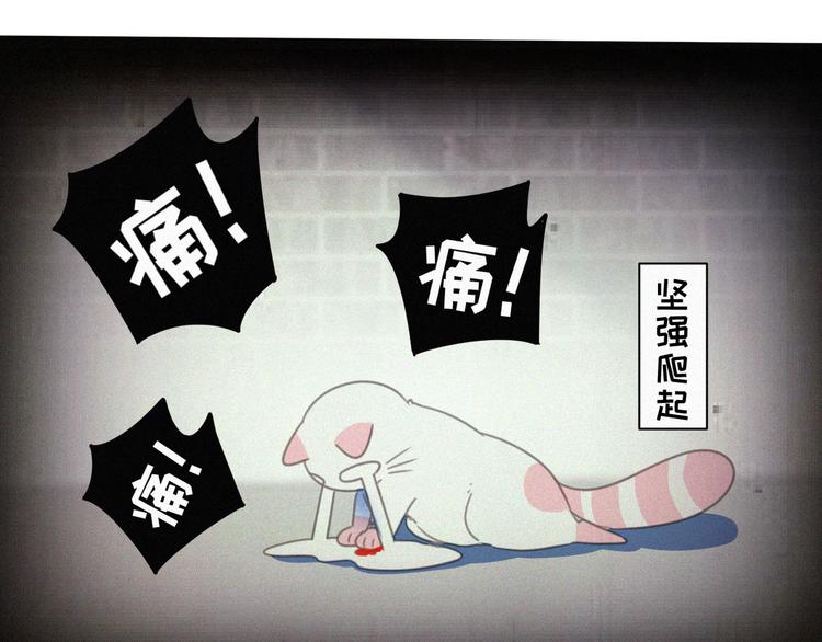 社会喵韩漫全集-番外 混混的“悲剧”无删减无遮挡章节图片 