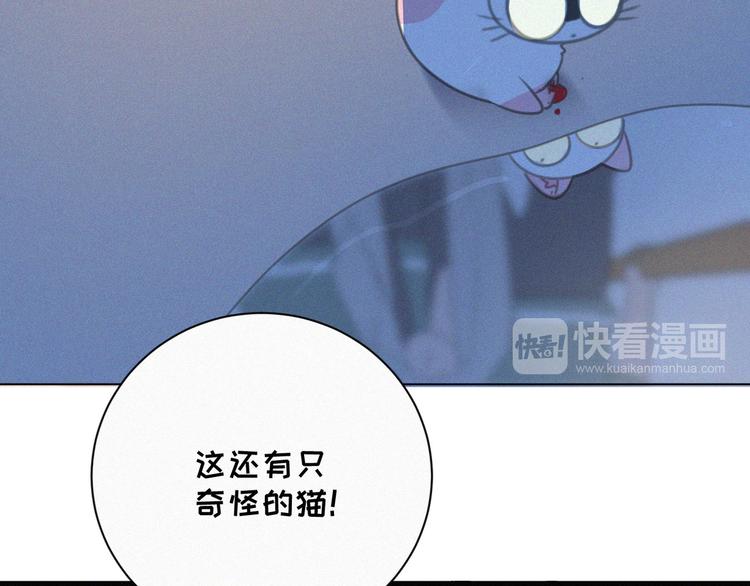 社会喵韩漫全集-番外 混混的“悲剧”无删减无遮挡章节图片 