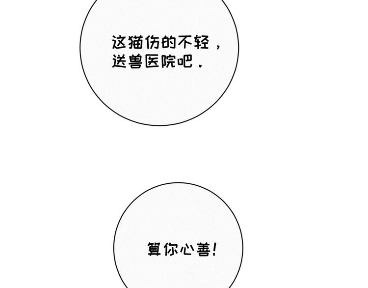 社会喵韩漫全集-番外 混混的“悲剧”无删减无遮挡章节图片 