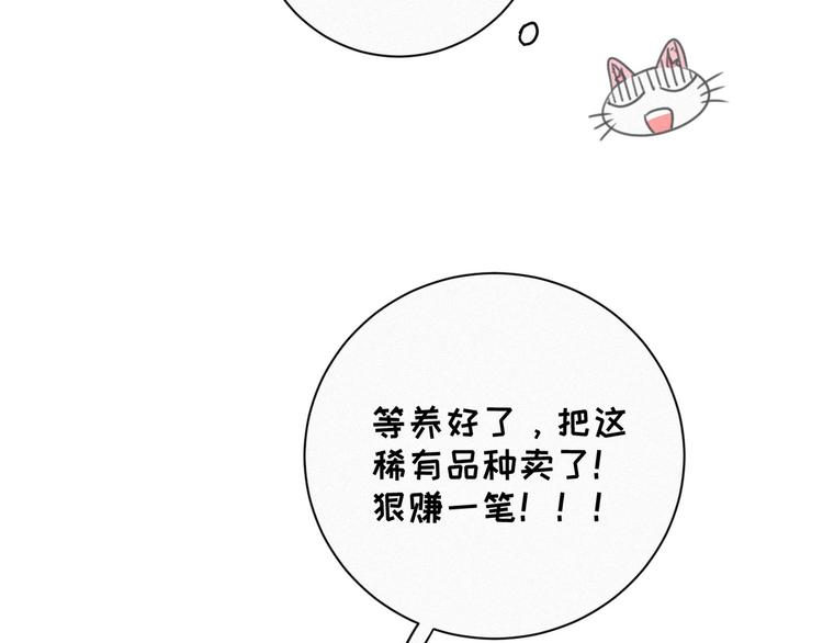 社会喵韩漫全集-番外 混混的“悲剧”无删减无遮挡章节图片 