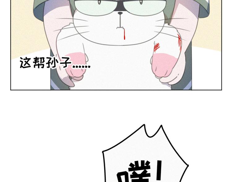 社会喵韩漫全集-番外 混混的“悲剧”无删减无遮挡章节图片 