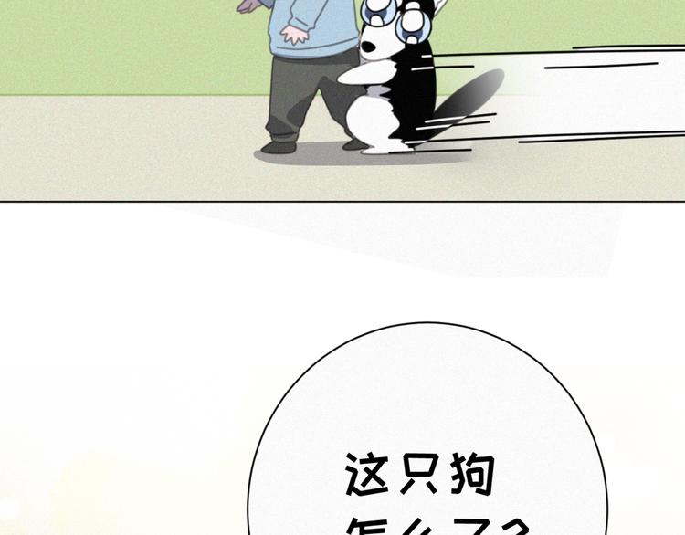 社会喵韩漫全集-番外 哈士奇的寻主之路无删减无遮挡章节图片 