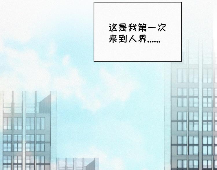 社会喵韩漫全集-番外 哈士奇的寻主之路无删减无遮挡章节图片 