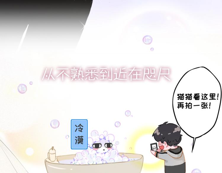 社会喵韩漫全集-第二季序章 再次相遇，甜萌升级无删减无遮挡章节图片 