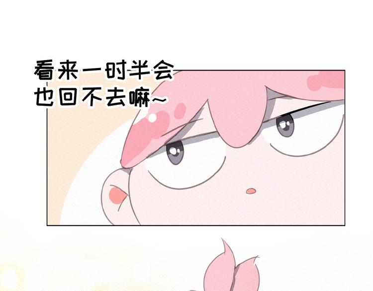社会喵韩漫全集-第4话 看爪叽无删减无遮挡章节图片 