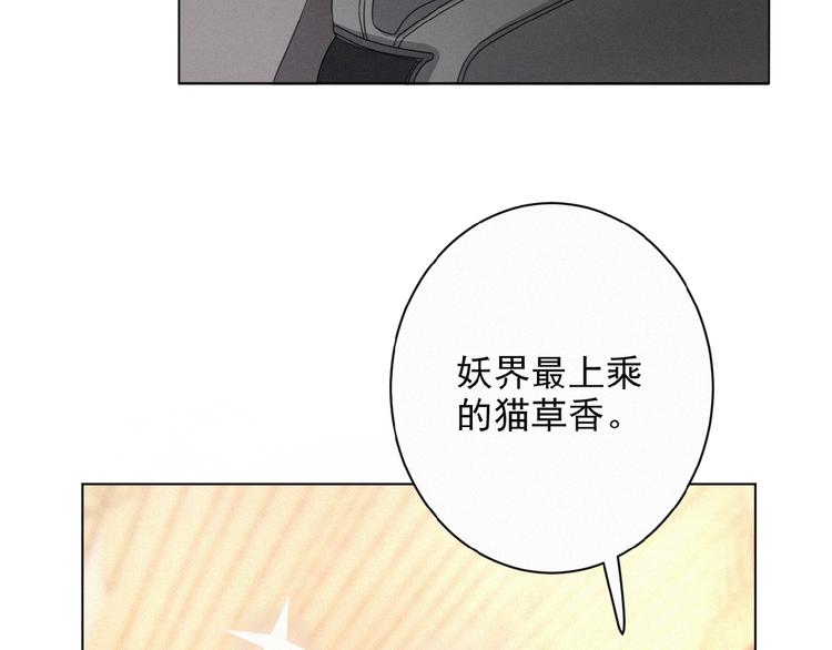社会喵韩漫全集-第4话 看爪叽无删减无遮挡章节图片 