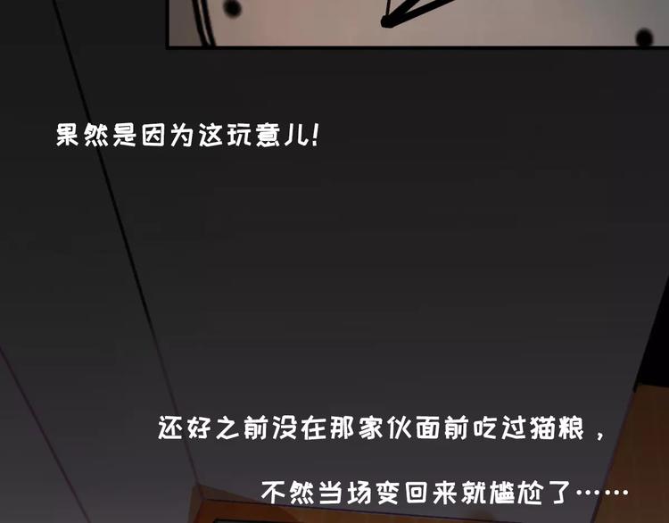 社会喵韩漫全集-第6话 一起洗澡能增进感情吗？无删减无遮挡章节图片 