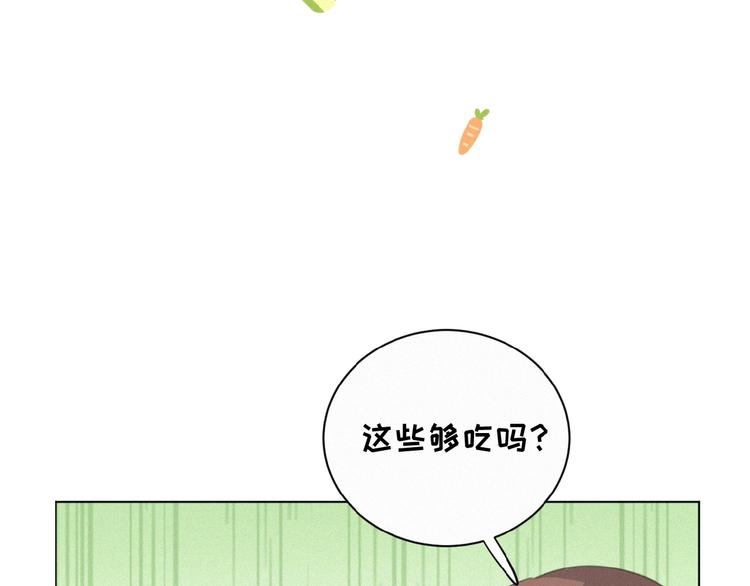 社会喵韩漫全集-第13话 又变猫了！无删减无遮挡章节图片 