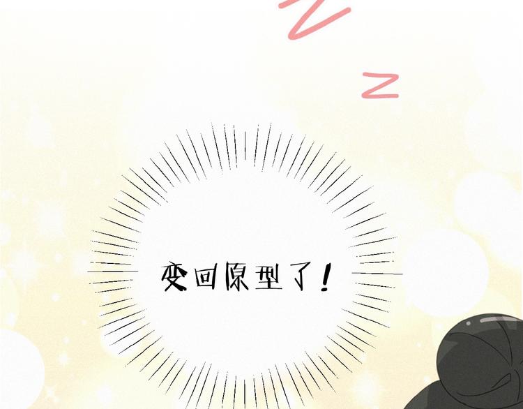 社会喵韩漫全集-第13话 又变猫了！无删减无遮挡章节图片 