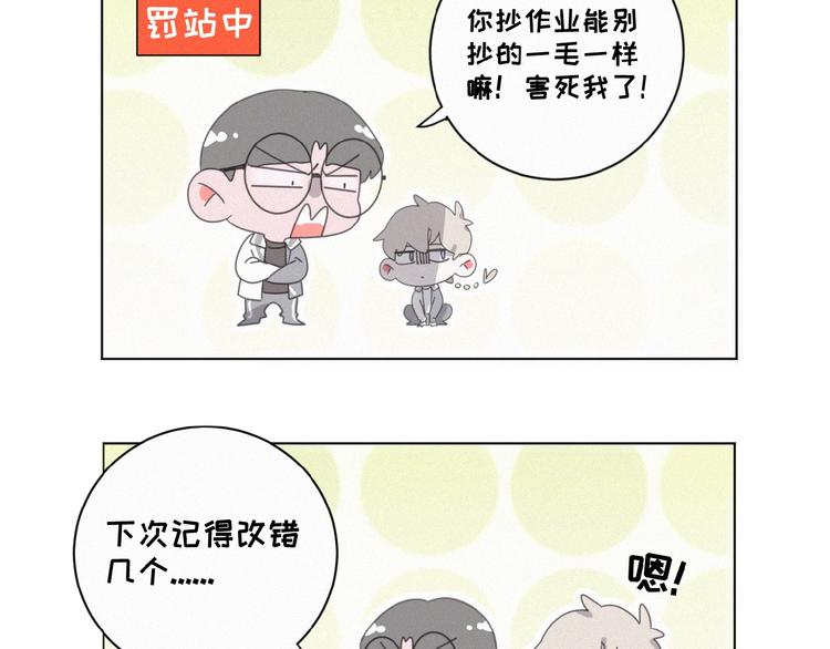 社会喵韩漫全集-第13话 又变猫了！无删减无遮挡章节图片 