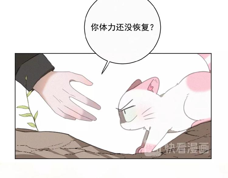 社会喵韩漫全集-第14话 心意无删减无遮挡章节图片 