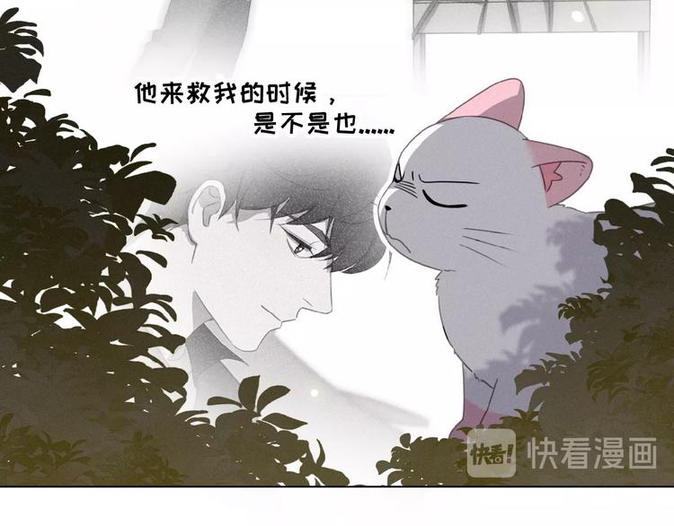 社会喵韩漫全集-第15话 不准伤害TA无删减无遮挡章节图片 