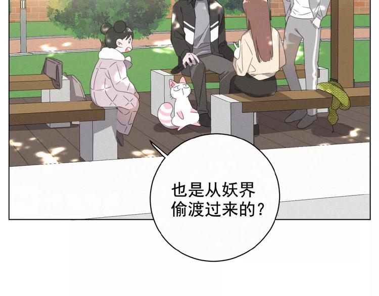 社会喵韩漫全集-第15话 不准伤害TA无删减无遮挡章节图片 
