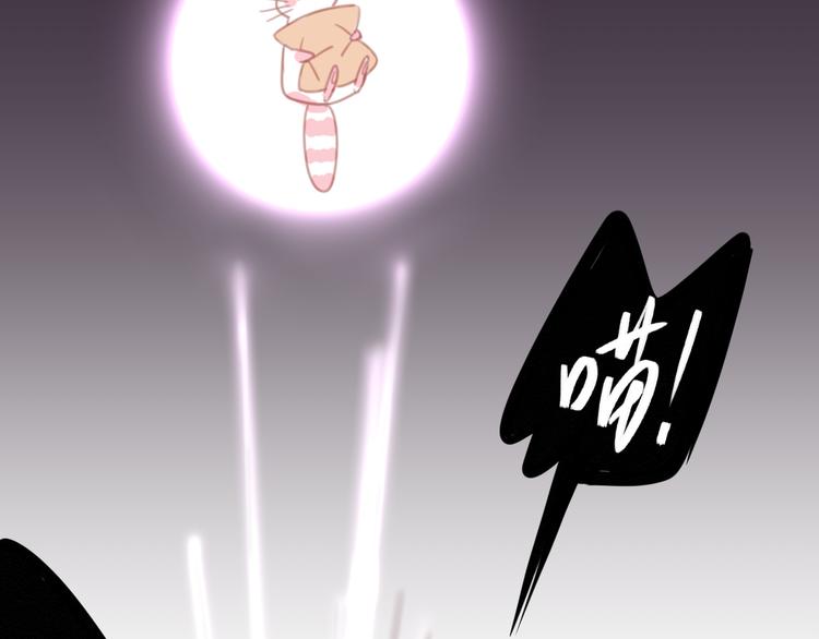 社会喵韩漫全集-第7话 没看过猫变人呐！无删减无遮挡章节图片 