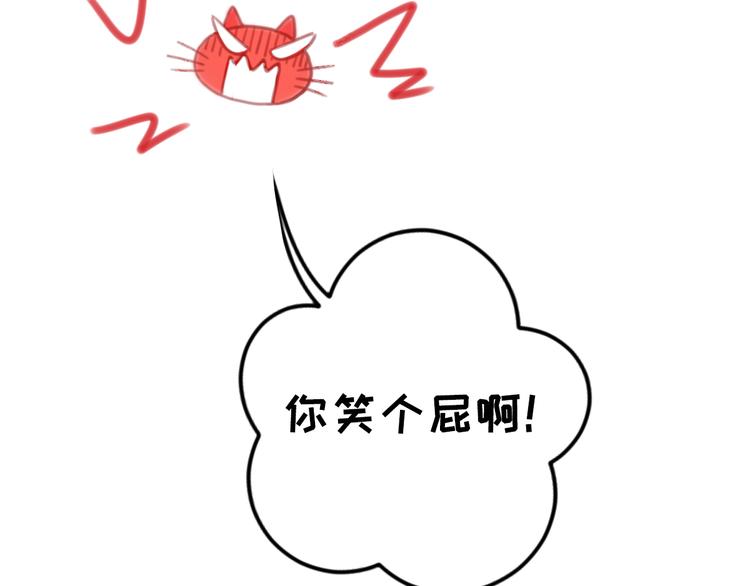 社会喵韩漫全集-第7话 没看过猫变人呐！无删减无遮挡章节图片 