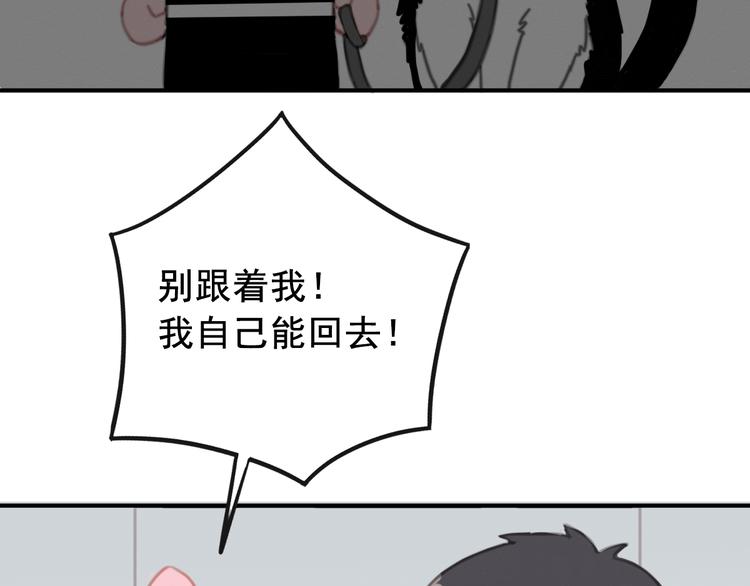 社会喵韩漫全集-第7话 没看过猫变人呐！无删减无遮挡章节图片 