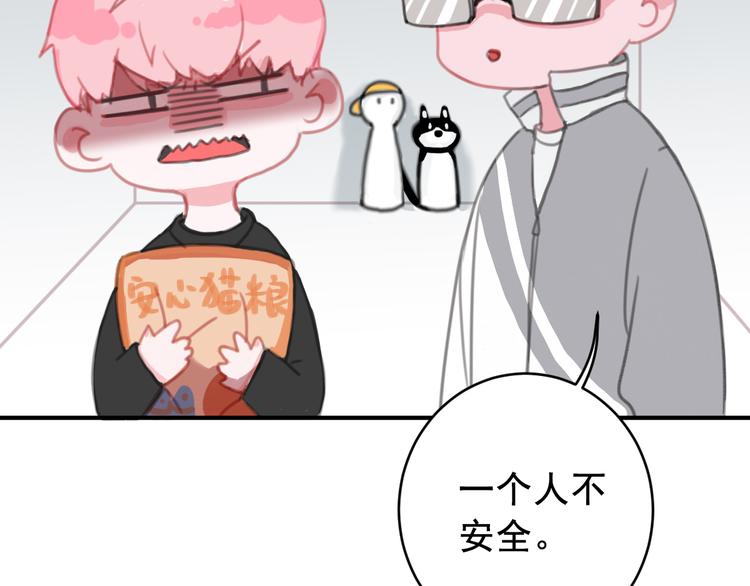 社会喵韩漫全集-第7话 没看过猫变人呐！无删减无遮挡章节图片 