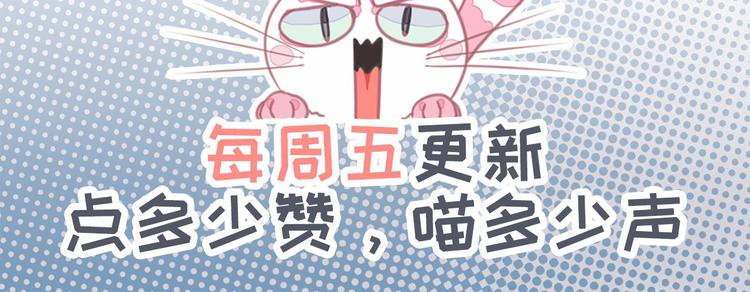社会喵韩漫全集-第7话 没看过猫变人呐！无删减无遮挡章节图片 