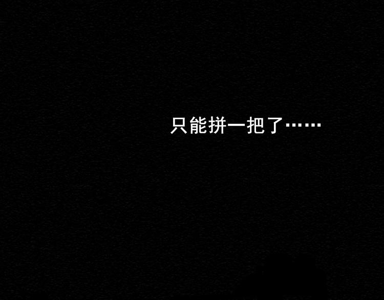 社会喵韩漫全集-第7话 没看过猫变人呐！无删减无遮挡章节图片 