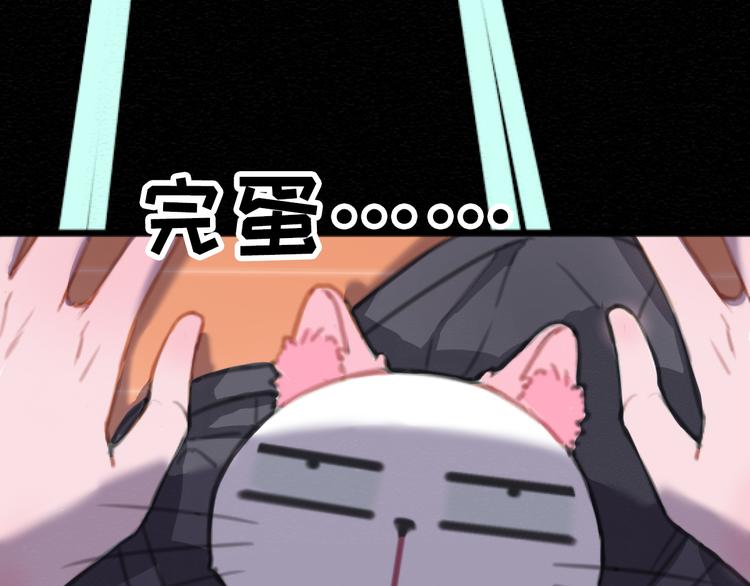 社会喵韩漫全集-第7话 没看过猫变人呐！无删减无遮挡章节图片 