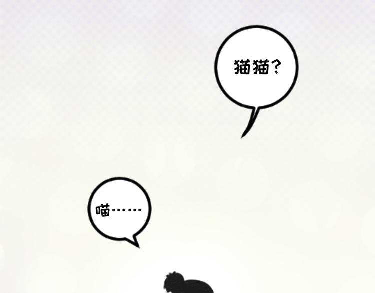 社会喵韩漫全集-第7话 没看过猫变人呐！无删减无遮挡章节图片 