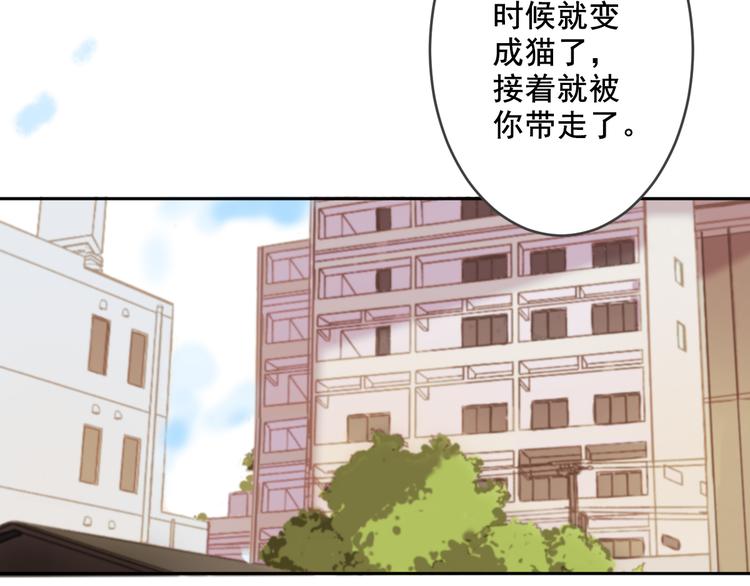 社会喵韩漫全集-第7话 没看过猫变人呐！无删减无遮挡章节图片 