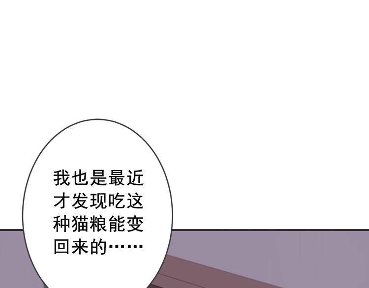 社会喵韩漫全集-第7话 没看过猫变人呐！无删减无遮挡章节图片 