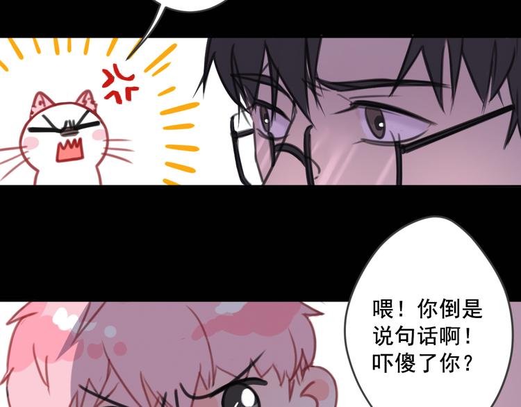 社会喵韩漫全集-第7话 没看过猫变人呐！无删减无遮挡章节图片 