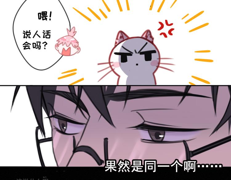 社会喵韩漫全集-第7话 没看过猫变人呐！无删减无遮挡章节图片 